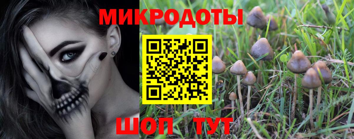Ревда  Псилоцибиновые грибы Psilocybine cubensis  что такое наркотик  Вход с VPN  Галлюциногенные грибы ЛСД 